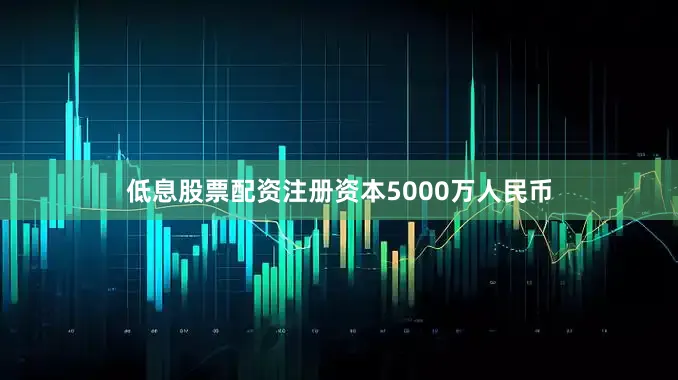 低息股票配资注册资本5000万人民币